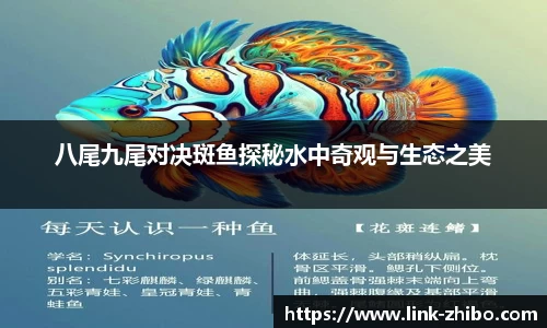 八尾九尾对决斑鱼探秘水中奇观与生态之美