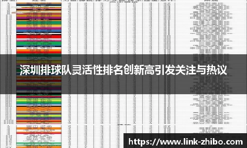 深圳排球队灵活性排名创新高引发关注与热议